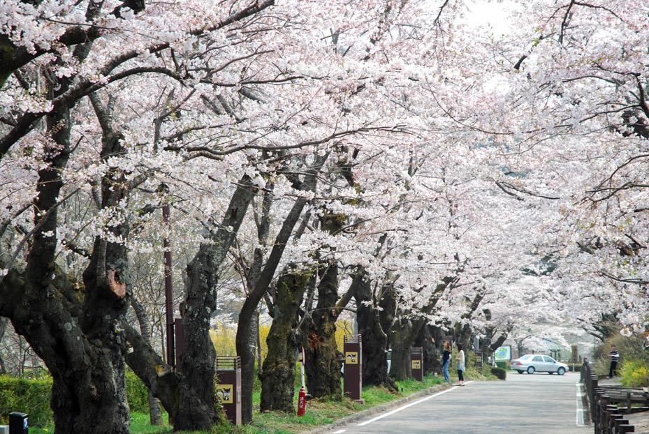 Kunugidaira Hotel Fukushima  Luaran gambar
