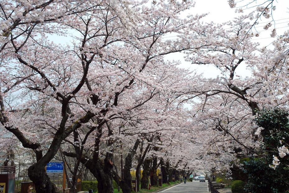 Kunugidaira Hotel Fukushima  Luaran gambar